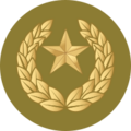 05.Pakistan Army-SFC