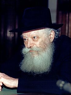 11Iyar5749-profile-lubavitcher-rebbe