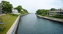 2009-0619-Charlevoix-lighthousepine