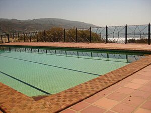 Adamson pool 2
