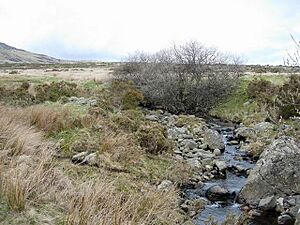 Afon Dulyn - geograph.org.uk - 157496
