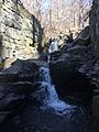 Alapocas Falls (Wilmington Delaware 04831)