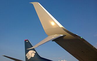 B737-800 Split Winglet WP 20141110 001
