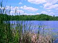 Benton Lake Manistee Forest