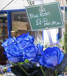 Blue Roses Oxford Market