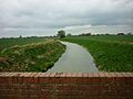 Boating Dike from Jaques Bank - geograph.org.uk - 2338146