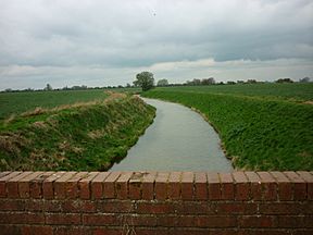 Boating Dike from Jaques Bank - geograph.org.uk - 2338146.jpg