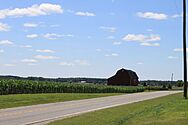 Bridgewater Township Corn Field