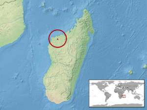 Brookesia bonsi distribution.png