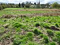 Bulwick Meadows 8