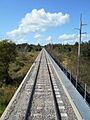 CSXT Peace River trestle, Bowling Green FL