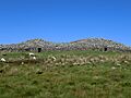 Camster Cairns