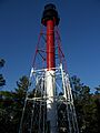 Carrabelle lths01