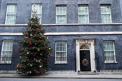 Christmas 2019 Downing Street Decoration (1)
