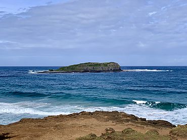 Cook Island seen from Fingal Head, New South Wales 02.jpg
