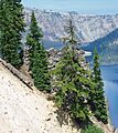Crater Lake August 2013 - exterior of Sinnot