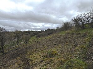 Crecy Hill (3)