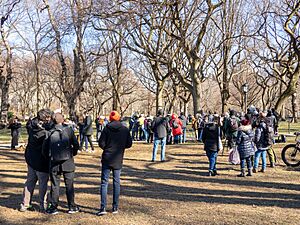 Crowd watching Flaco in Central Park (86580)