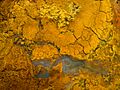 Cut and oiled yellow jasper 3