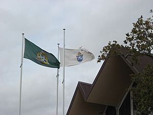 Diocese of Auckland flags