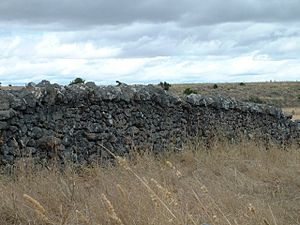 Dry stone wall Corangamite