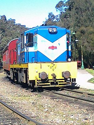 Emu Bay Railway Bo-Bo no. 1004
