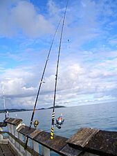 Fishing from a pier in Humacao, Puerto Rico