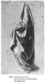 Francesco Botticini Turin Study