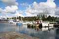 Geelong-fishing-harbour