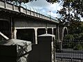 Grafton Bridge