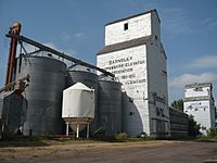 Grain Elevators at Barnsley, Manitoba