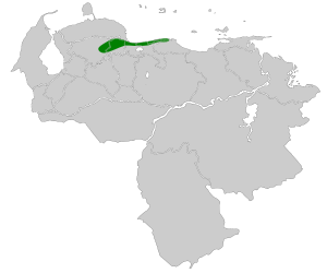 Grallaricula loricata map.svg