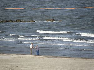 Grand Isle collecting samples