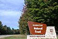 Hiawatha National Forest