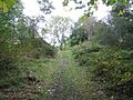 Hill fort ramparts at Gaer Fawr - geograph.org.uk - 568616