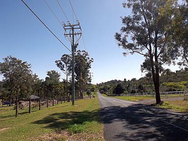 Hotham Creek Road, Willow Vale, Queensland.jpg