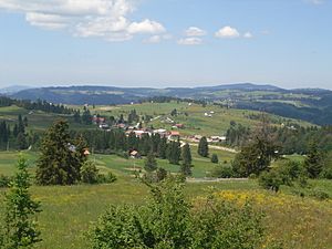 Vidovište - The central hamlet