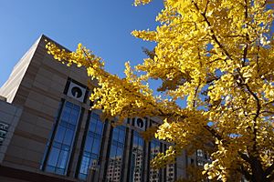 Indiana Convention Center exterior with ginkgo tree