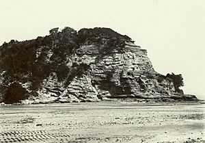 Kauri Point, Birkenhead (1899)