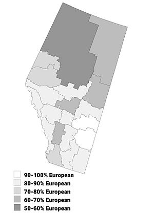 Largest Panethnic Groups in Alberta, 2021 Census