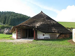 Largest of the replica iron-age roundhouses, Butser Farm - geograph.org.uk - 2136873