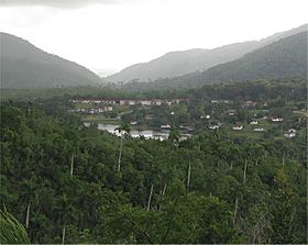 View of the village and surrounding forest