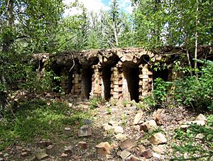 Ruins of coke ovens at the abandoned Lille townsite