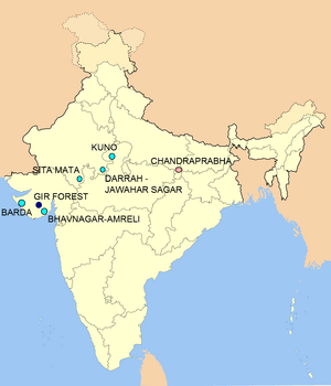 Lion Reintron Sites in India