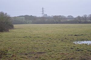 Little Catworth Meadow 3