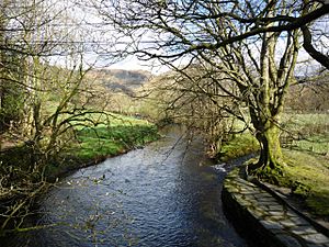 Looking upstream on the Rothay - geograph.org.uk - 1332450