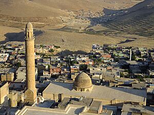 Mardin Ulu Cami DSCF0534