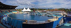 Marineland killer whale pool