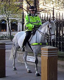 Mounted.police.london.arp.600pix
