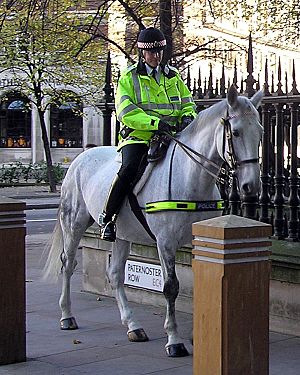 Mounted.police.london.arp.600pix